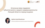 Видеотрансляция для малого и среднего предпринимательства Липецкой области – о новых формах господдержки бизнеса