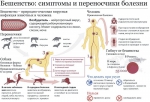 moskva_-sao_-savelovskiy_-privivochnye-punkty_-vaktsinatsii-protiv-beshenstva.jpg