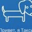 На сайте ФНС России создан чат-бот по имени Таксик - Воронецкий сельсовет