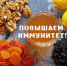 О том, как укрепить иммунитет в период подъема заболеваемости ОРВИ - Елецкая ГДБ
