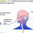 simptomy-bakterialnoj-infekcii-u-detej4.jpg - Елецкая ГДБ
