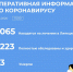 Оперативная информация по коронавирусу - Администрация г. Елец