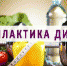 Профилактика сахарного диабета - Елецкая ГДБ