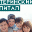 Упрощенный порядок предоставления ежемесячных выплат из материнского капитала продлен до 1 марта 2021 года - Казацкий сельсовет