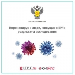 Новость