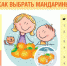 dKPaEoYZErM.jpg - Елецкая ГДБ