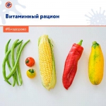 Витаминный рацион