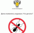 Дома появились муравьи. Что делать? - Елецкая ГДБ