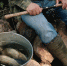 ВНИМАНИЕ ЗАПРЕТ! - Черкасский сельсовет