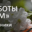 График работы музеев в выходные и праздничные дни 1 мая-10 мая 2021 года - Краеведческий музей