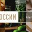 Ограничение посещения лесов введено в Липецкой области - Газета В краю родном