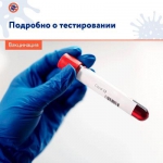Подробно о тестировании