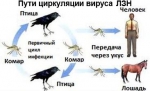 image001.jpg