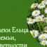 Тематический обзор «Любовь и семья в зеркале кинематографа» - ЦБС города Ельца