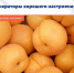 Генераторы хорошего настроения - Елецкая ГДБ