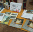 Книжная выставка «Библейские эскизы» - ЦБС города Ельца