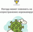 Погода может повлиять на распространение коронавируса? - Елецкая ГДБ