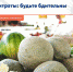 Нитраты: будьте бдительны - Елецкая ГДБ