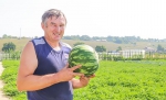 «ПРОДЮСЕР» ДЛЯ ДАЧНИКА