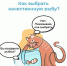 Как выбрать качественную рыбу? - Елецкая ГДБ