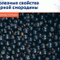 Полезные свойства чёрной смородины - Елецкая ГДБ