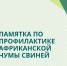 Памятка по профилактике африканской чумы свиней - Администрация г. Елец