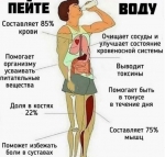 IMG_3802.PNG