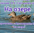 Видеопрочтение стихотворения С. Мекшен «На озере» - ЦБС города Ельца
