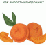 Как выбрать мандарины? - Елецкая ГДБ