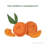 Как выбрать мандарины?