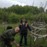 ЯБЛОНЕВЫЙ САД СТАЛ БОЛЬШЕ - Газета В краю родном