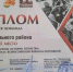 Областная военно-спортивная игра «Победа» - Газета В краю родном