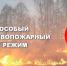 Особый противопожарный режим вводится в лесах Липецкой области - Елецкий район