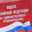«Если водитель скрылся с места ДТП» - ОМВД Елецкого района 