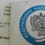 Налоговая служба начала рассылку налоговых уведомлений на уплату налогов физическими лицами за 2021 год - Елецкий район