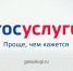 На «Госуслугах» заработали новые сервисы по частичной мобилизации - Газета В краю родном