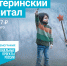 300 семьям из Липецкой области направили более 87 млн. рублей на улучшение жилищных условий за счет средств материнского семейного капитала - Газета В краю родном