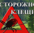 Осторожно, клещи ! - Елецкая ГДБ
