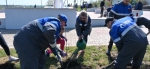 Благоустройство