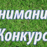 Внимание конкурс! - Елецкий район