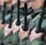 Какие выплаты положены мобилизованным в Липецкой области? - Воронецкий сельсовет