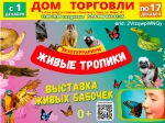 ЕЛЕЦ ТВ
