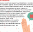 Электронные сигареты: миф и реальность. Вреднее и опаснее - ЕМК им. К.С. Константиновой