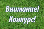 Внимание!