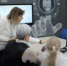 «В один клик»: Занятие 15. «Настройки смартфона. Подключение, дисплей, оповещения» - ЦБС города Ельца