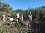 oppGO2sODp8