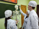 На занятиях по дисциплине “Анатомия и физиология человека” студенты группы С/д-24 закрепляют изученный материал по теме “Скелет головы – череп. Соединение костей”