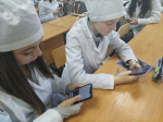 Череда мероприятий ко Дню народного единства