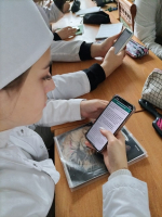 Принимаем участие в региональных и межрегиональных олимпиадах