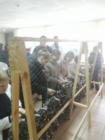 Что лучше всего может сплотить молодежь? Общие значимые задачи, поэтому #Своихнебросаем – помогаем